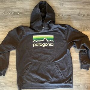 Patagonia hoodie sweatshirt